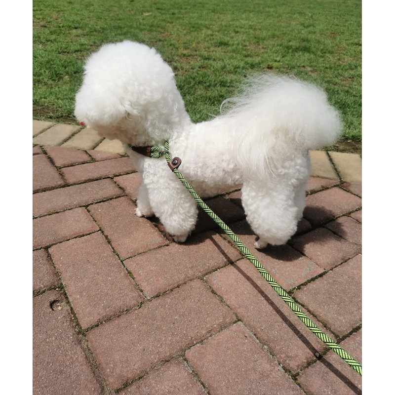 Mycicy Slip Lead Dog Leash, 1/4" x 5ft No Pull