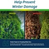 Wilt-Pruf® Original Winter Plant Protection | Ready-to-Spray | Maximum Strength