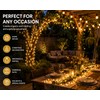 Solar Powered Outdoor Fairy Lights 20M Waterproof LED String Lights