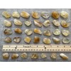 WHOLESALE Citrine Tumbled Stones, Polished Citrine Gemstone, Citrine Healing Crystals