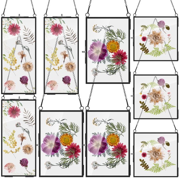 Barydat 9 Pack Black Glass Frames for Pressed Flowers 6