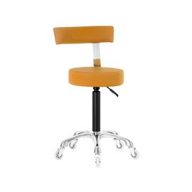 Lilfurni Swivel Rolling Stool Round Chair,Thick Sturdy Padding,Adjustable Stool with Wheels for Doctor,Medical,Massage Salon,Office,Shop(Camel) (Black,with Back)