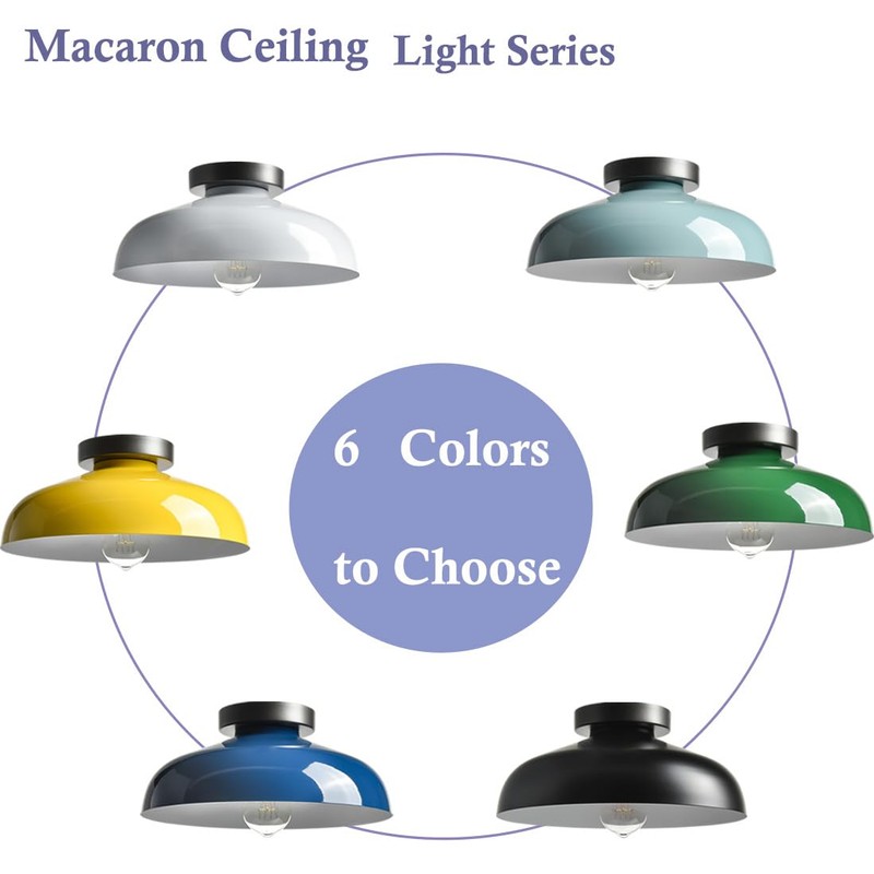 DIRYZON 12-Inch Industrial Ceiling Light Fixture,Black Bedroom Ceiling Light,Metal Ceiling
