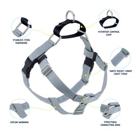2 Hounds Design Freedom No Pull Dog Harness, Adjustable Harness and Leash Set, Easy Walking & Comfortable Control, Fits Small, Medium & Large Dogs, Solid Colors, Made in USA, 5/8" SM, Silver