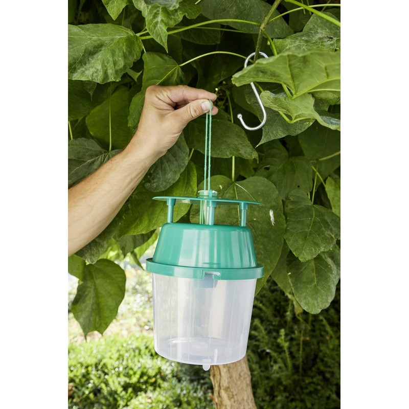Substral Bio Boxwood Trap System Green 1 Set