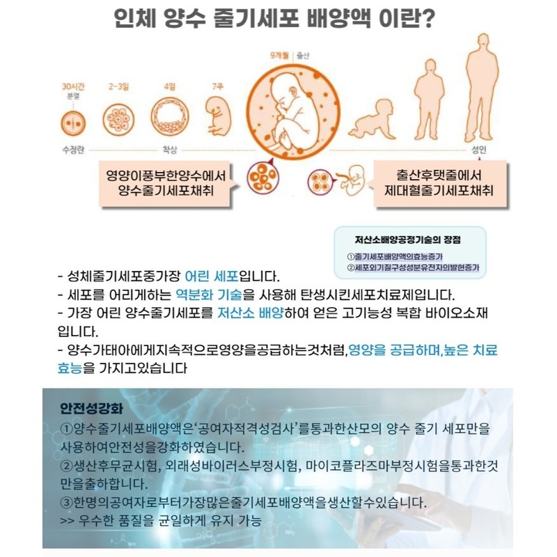셀비아 미솔로지 크리에이션 앰플 6ml 낱개 구매, 6ml, 1개 Selvia
