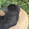 Vivid Arts - Laying Black Cat - XRL-DC61-D