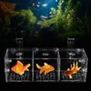 Aquarium Fish Breeder Box, Baby Fish & Shrimp Incubator (30CM*10CM*10CM)