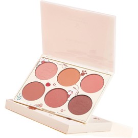 6 Color Blush Palette Women Makeup Contour Highlight Matte Face Blush Powder Pigmented Cosmetics Gift (Paleta de rubor de 6 colores)