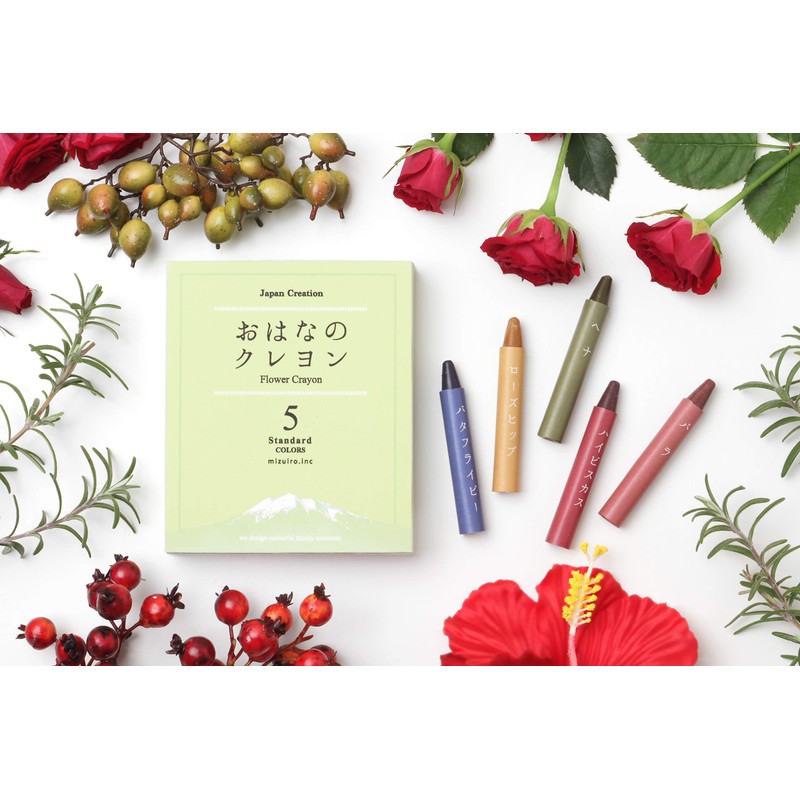 mizuiro ST-VEGI009 Standard Crayons