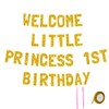 Meowoo Glamorous 1st Birthday Banner, Welcome Little Princess Decor, 7.7