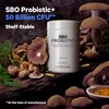 Codeage Codeage SBO Probiotics, 50 Billion CFUs Per Serving, Multi