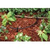 Rain Bird T22-100S Drip Irrigation 1/4" Blank Distribution Tubing, 100'