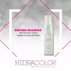 Hidra Shampoo + Acondicionador Hidra Protein 300ml