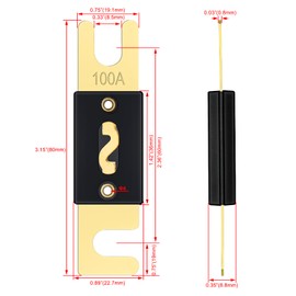 Heschen ANL Fuse 100A Gold & Black Car Audio System 2 Pack ANL-100