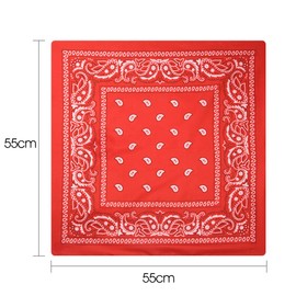 FEPITO 18 Pcs Paisley Bandanas Cowboy Bandana Paisley Print Head Wrap Scarf