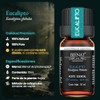 Bienat Aceite Esencial de Eucalipto 10mL Natural Difusor y Aromaterapia