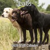 2026 Labs Monthly Wall Calendar | 12" x 24" |