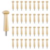 Sfcddtlg 36PCS Wooden Shaker Peg Wood Screw-2.95 Inch on Shaker