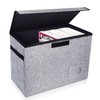 Leffis Comic Book Storage, Box 15.5" X 7.5" X 11.3",