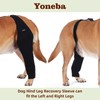 Dog Recovery Sleeve Back Leg Breathable Material,Dog Leg Sleeve to