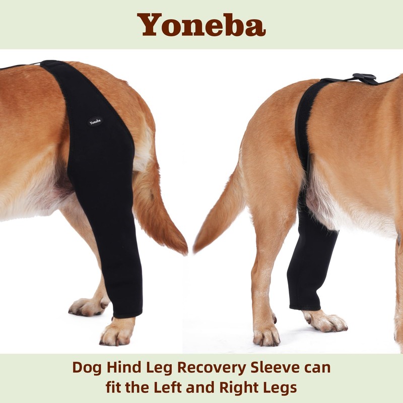 Dog Recovery Sleeve Back Leg Breathable Material,Dog Leg Sleeve to
