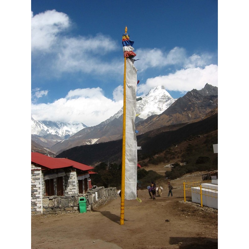 BUDDHAFIGUREN/Billy Held Buddhist Prayer Flags - Prayer Standard 2 m
