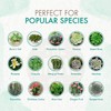 The Grow Co Succulents & Cactus Plant Food - Gentle