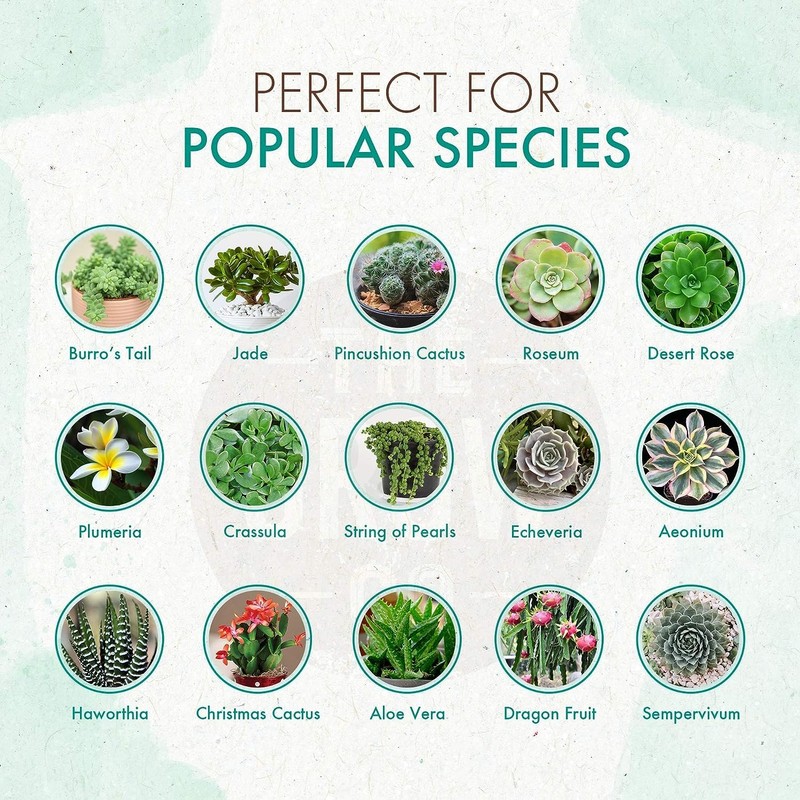 The Grow Co Succulents & Cactus Plant Food - Gentle