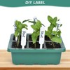 Artcome 5-Pack Seed Starter Tray - 6 Cells Each with