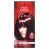 POLY COLOR PERMANENT CREAM COLOR TINT 87 RED BLACK 100%