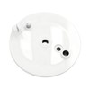 Rear Brake Plate White with Bore with Slot - for
