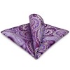 SHLAX&WING Mens Pocket Square Purple Paisley Handkerchieves Silk Hanky