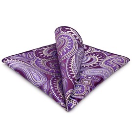 SHLAX&WING Mens Pocket Square Purple Paisley Handkerchieves Silk Hanky
