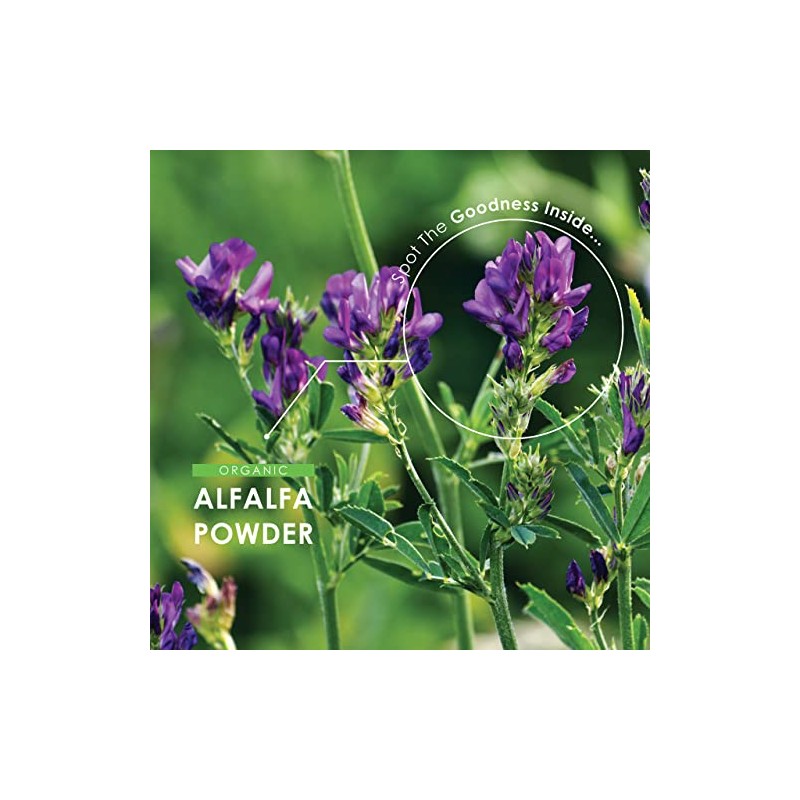 Organic Alfalfa 1200mg – 120 Vegan Capsules (2 Months Supply)