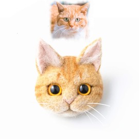 DIY Needle Felting Kit with Basic Needle Felting Tools,Kit for Beginners,Cat Kitten,Animal (Ginger Cat)
