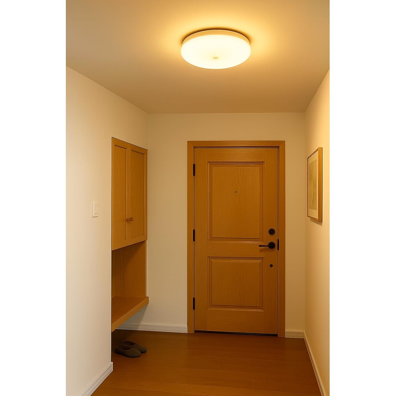 Japanese Quality Ceiling Light, Small, Motion Sensor, Entrance Light, Daylight