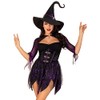 LEG AVENUE 2 PC Mystical Witch, includes dress with spiderweb