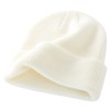 Decentron Classic Men's Warm Winter Hats Thick Knit Cuff Beanie