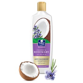 Parachute Advansed Rosemary Hair Oil & Rosemary Shampoo Combo | Purify, Strengthen & Nourish for Healthier Hair | Pack of 2 | 10.1 Fl oz + 11.4 Fl oz