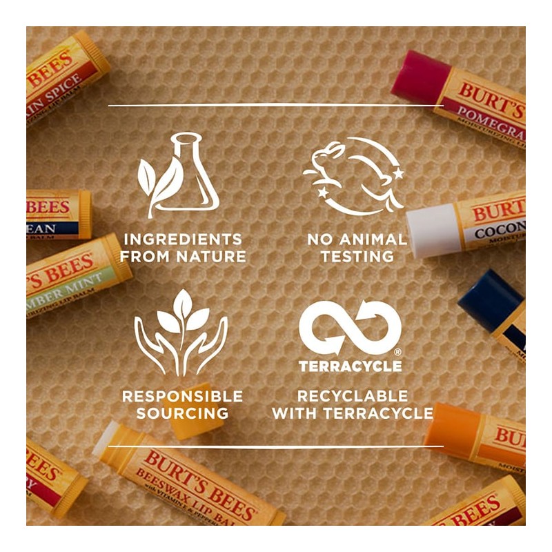 Burt's Bees Lipbalm Stick