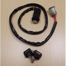 New 2005-2006 Honda TRX 500 TRX500 Foreman ATV OE Ignition Switch With Keys