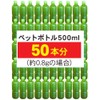 Nakajimaen Bottled Powdered Tea Nakajimaen Carefully Selected Green Tea 1.4