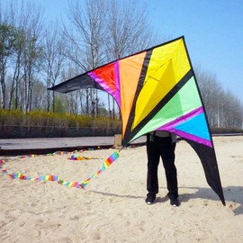Besra 110inch Rainbow Delta Kite 9.2ft Single Line Kite with 15m Long Tail for Kids and Adults Outdoor Fun Sports for Beach & Park