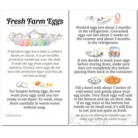 Havongki 300 Pack Premium Fresh Farm Eggs Handling Care Instructions Accessories Cards Labels | 4 6 12 15 18 30 48 50 Egg Blank Cartons Box Basket Container Storing Extra Organizer