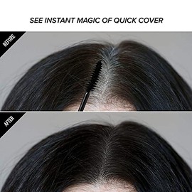 Kiss Colors Quick Cover Gray Hair Touch Up Brush Dark Brown BGC02 (2pcs)