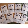 30 Pulseras De Graduación Ajustables, Venta Mayoreo