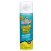 Bengal Crawling Insect Killer, Indoor and Outdoor Aerosol Ant and