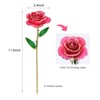 Long Stem Dipped 24k Gold Rose in Gift Box with