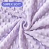iEvolve Baby Nursery Bed Blankets Ultra Soft Double Layer Mini